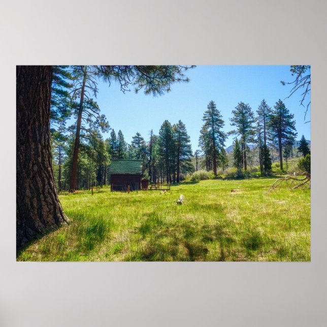 Arte de pared de pradera forestal | Escena de bosq (Frente)