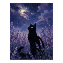 Arte de pared de silueta de gato negro — Campo de