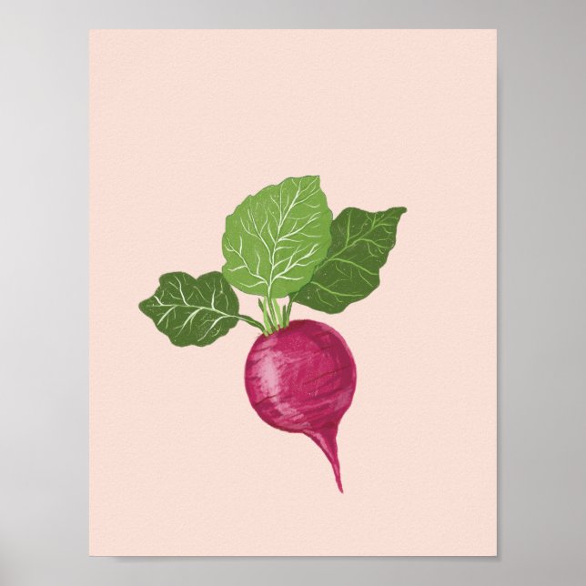 Arte de pared de vegetales - Ilustración de rábano (Frente)