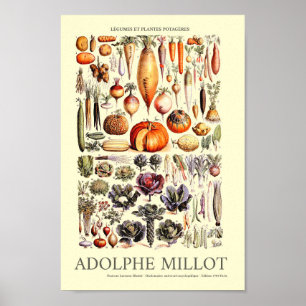 Arte de pared de verduras de época por Adolphe Mil