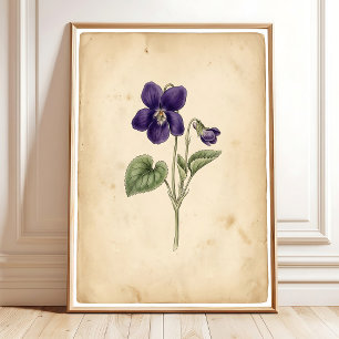 Arte de pared de violeta vintage impresión enmarca