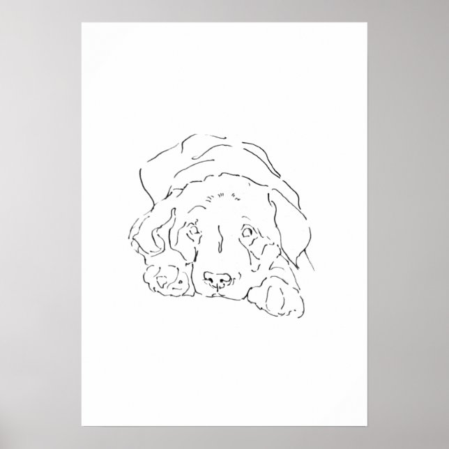 Arte de pared del adorable Labrador Retriever, Dib (Frente)