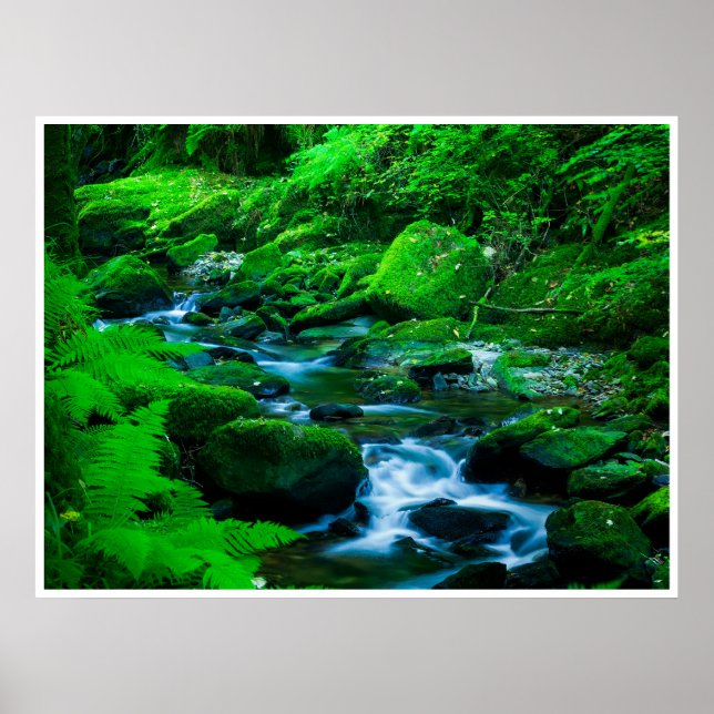 Arte de pared del Parque Nacional de Killarney | A (Frente)