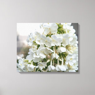Arte de pared en lienzo floral de hortensia blanca