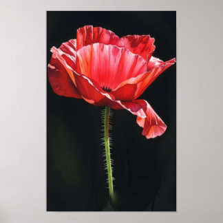 Arte de pared. Flor en la negrura