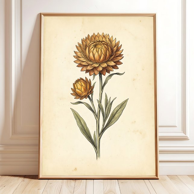 Arte de pared floral de siempreviva botánica (Subido por el creador)