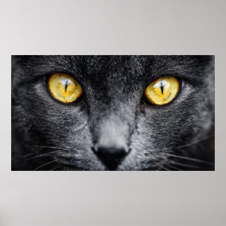 Arte de Pared Gato Negro con Ojos Dorados – Ani Mí