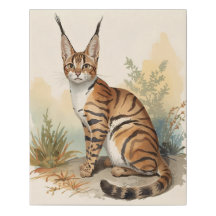 Arte de Pared Ilustración Rústica de Gato Salvaje