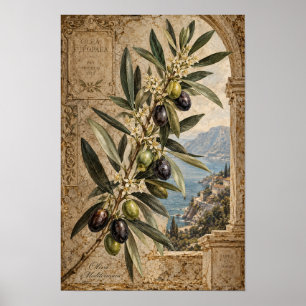 Arte de Pared Mediterráneo Rama de Olivo Vintage