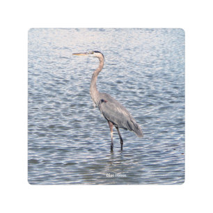 Arte de pared metálica de agua de la garza azul