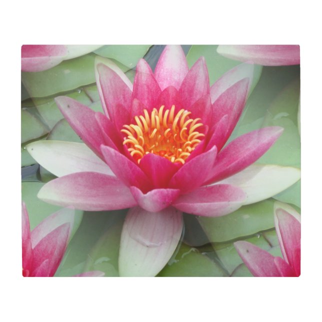 Arte de pared Metalizado de Lemán Lemoso Rosa (Anverso)