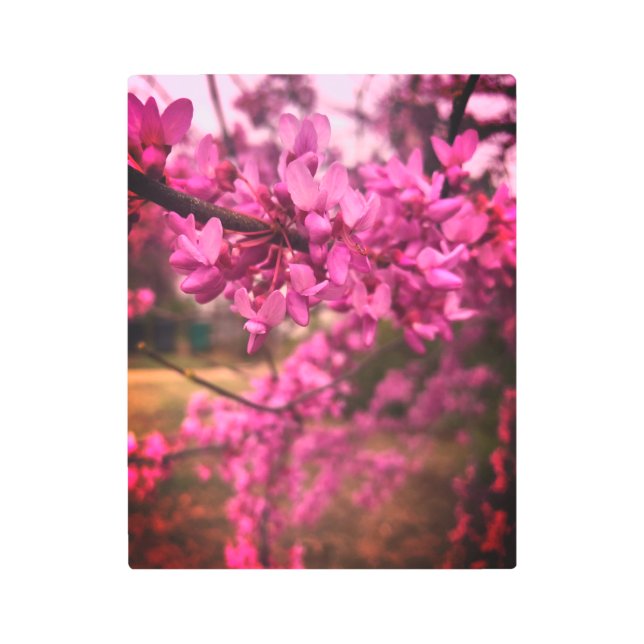 Arte de pared Metalizado en árbol Redbud rosado (Anverso)