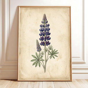 Arte de pared vintage botánico de Lupino en lienzo