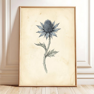 Arte de pared vintage de Cardo Marino Botánico