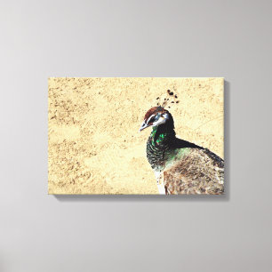 Arte de pavo real elegante y plumas