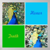 Arte de Peacock