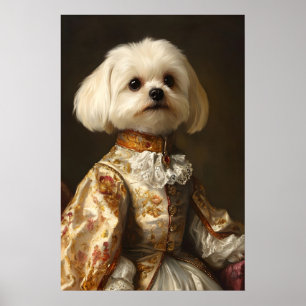 Arte de perro maltés aristocrático, Renacimiento