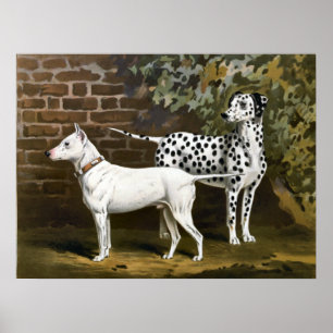 Arte de perros vintage de Bull Terrier y Dalmacia