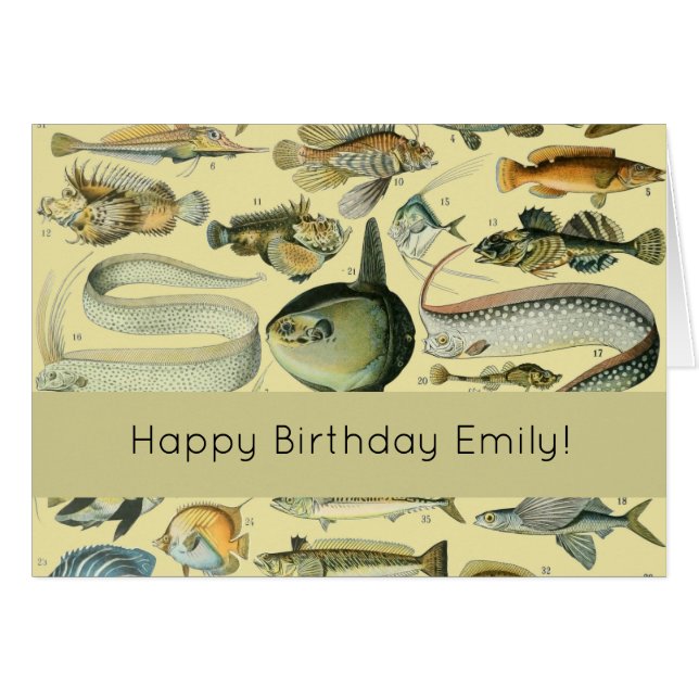 Arte de pesca científica de peces de época (Anverso (Horizontal))