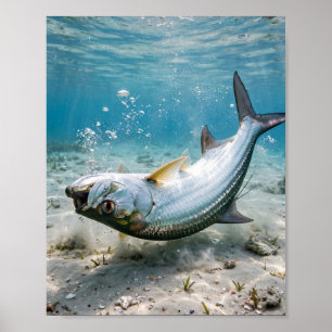 Arte de pesca costera del rey plateado de Florida