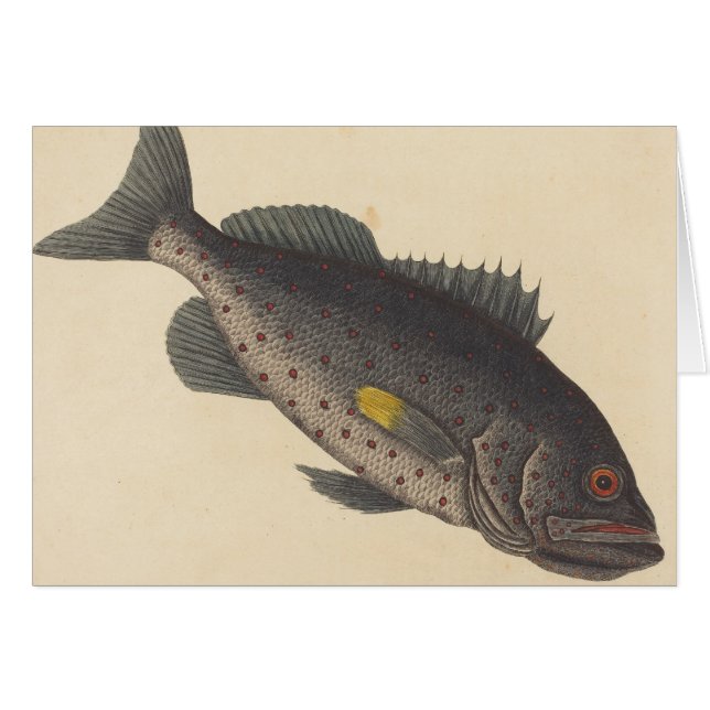 Arte de pesca de vintage (Anverso (Horizontal))