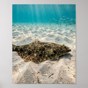 Arte de pesca en el Golfo de Florida Hombre Lengua