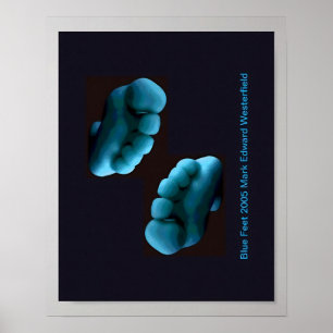 Arte de Pies Azules Póster