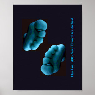 Arte de Pies Azules Póster