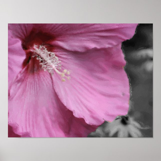 Arte De Pintura De Fotografía De Hibiscus Rosa (Frente)