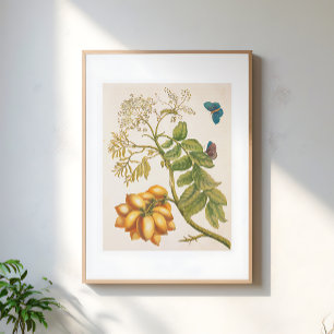Arte de planta de frutas vintage con mariposas
