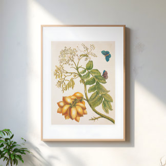 Arte de planta de frutas vintage con mariposas