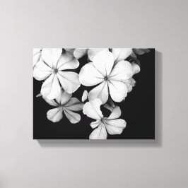 Arte de Plumbago Monocromo Vintage