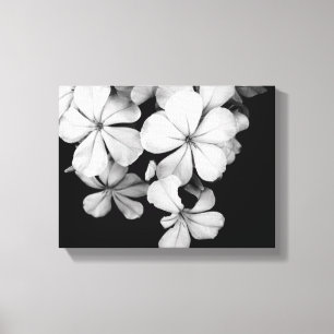 Arte de Plumbago Monocromo Vintage