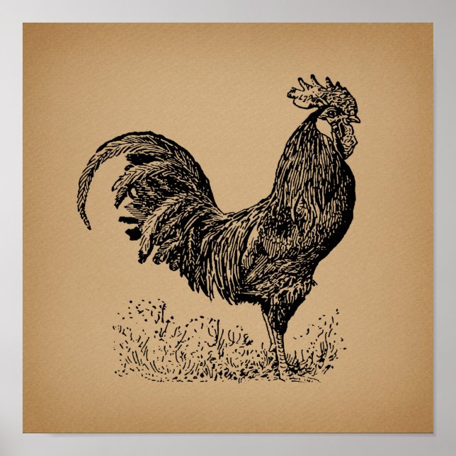 Arte de pollo de Ilustracion de época marrón (Frente)