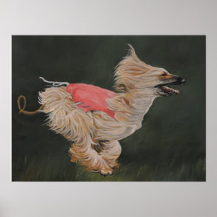 Arte de póster de reproducción de galgos afganos