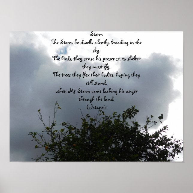 ARTE DE PÓSTER Y ESTILO DE DISEÑO (Frente)