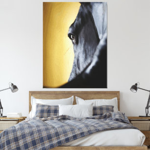 Arte de primer plano del ojo de caballo majestuoso