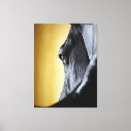 Arte de primer plano del ojo de caballo majestuoso