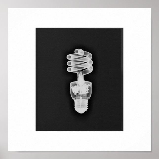 arte de rayos X (Frente)