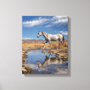 Arte de Reflejo de Estanque en el Desierto de Caba