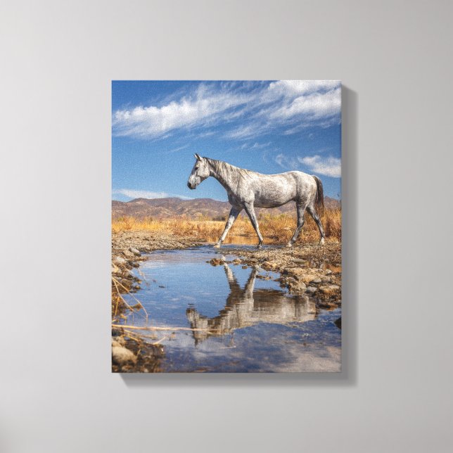 Arte de Reflejo de Estanque en el Desierto de Caba (Anverso)