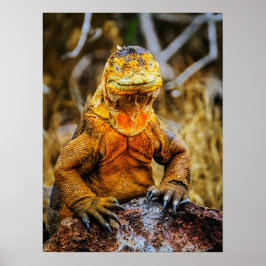 Arte de Reptil Iguana