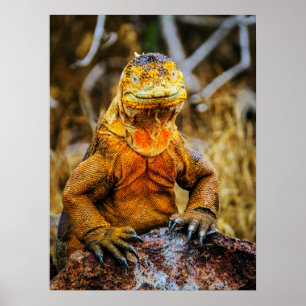 Arte de Reptil Iguana