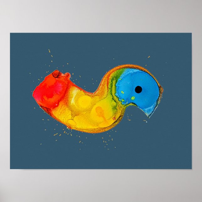 Arte de resumen digital (Frente)