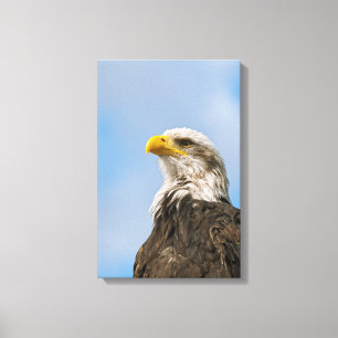 Arte de retrato de vida silvestre de águila calva