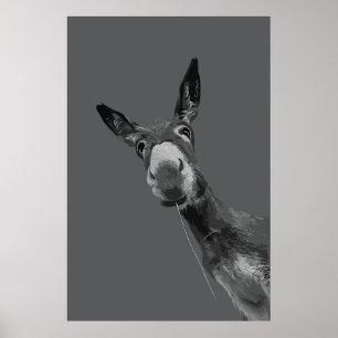 Arte de retrato en escala de grises de burro diver