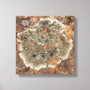 Arte de rock - El arte en la naturaleza