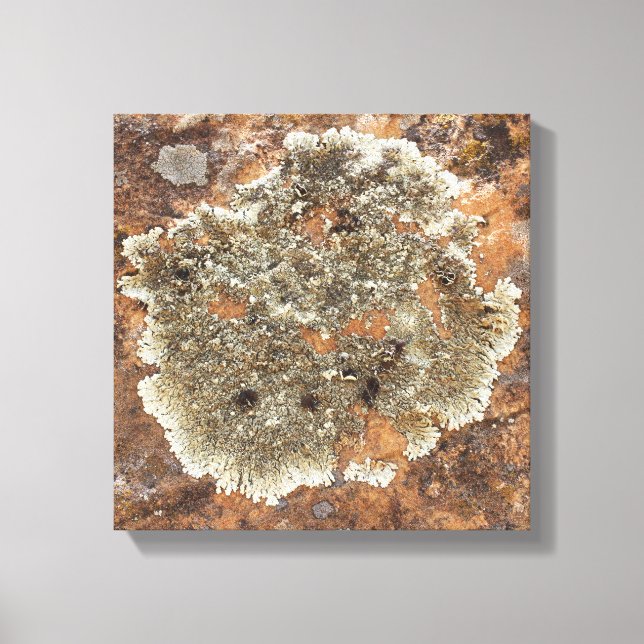 Arte de rock - El arte en la naturaleza (Anverso)