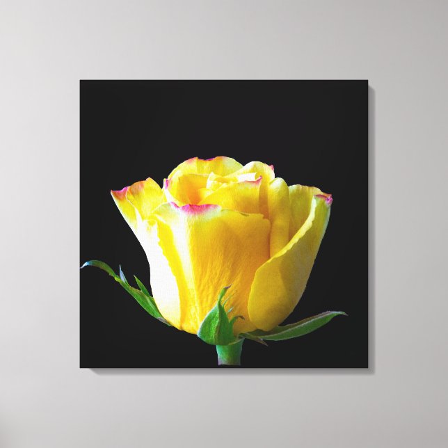 Arte de rosa amarillo (Anverso)