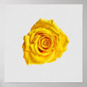 Arte de rosa amarillo